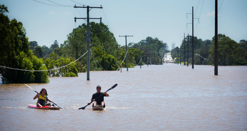 This giant spider being rescued from Australian flood waters will absolutely haunt your dreams