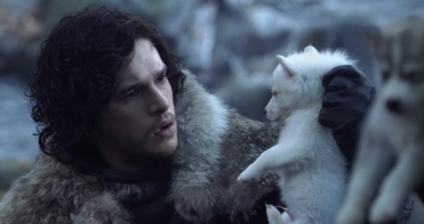 Jon Snow petted Ghost in the 'Game of Thrones' finale and people are here for it