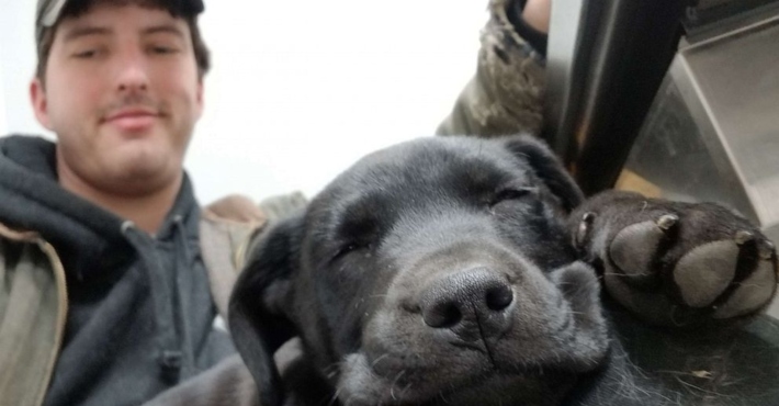 Deaf man adopts deaf rescue puppy dog and teaches it sign language