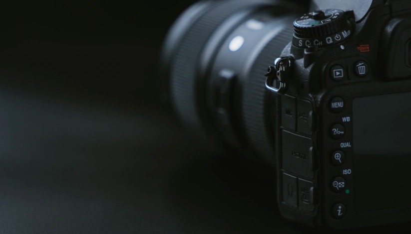 Dog adopts orphaned monkey after its mother was poisoned