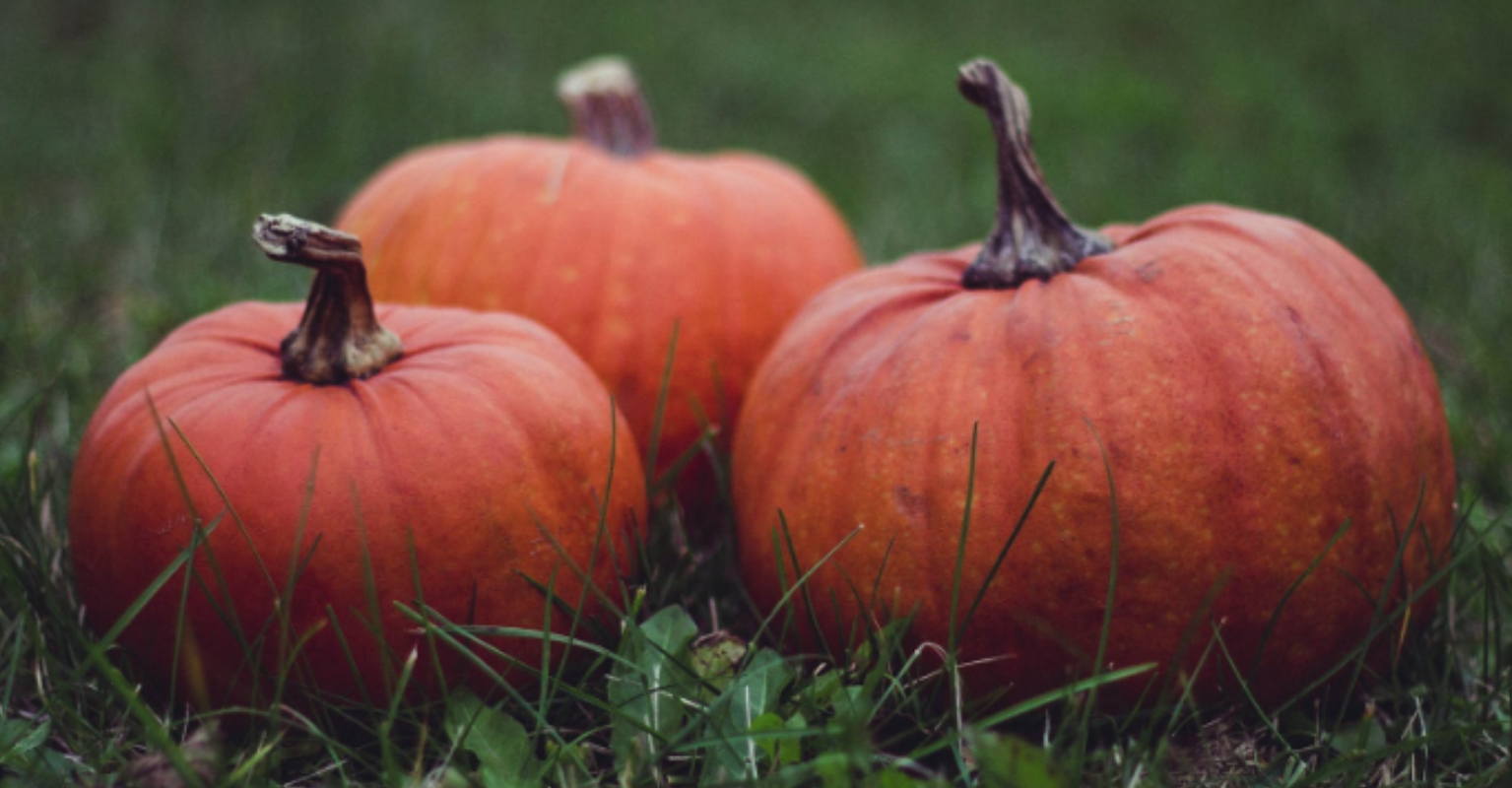 'This is fine' Halloween house decoration is perfect for 2020