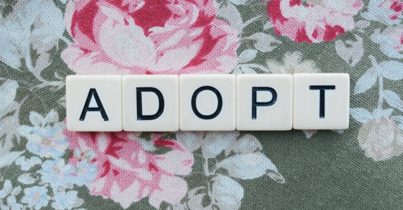 Single dad who grew up in foster care adopts five siblings because he didn't want them to be separated