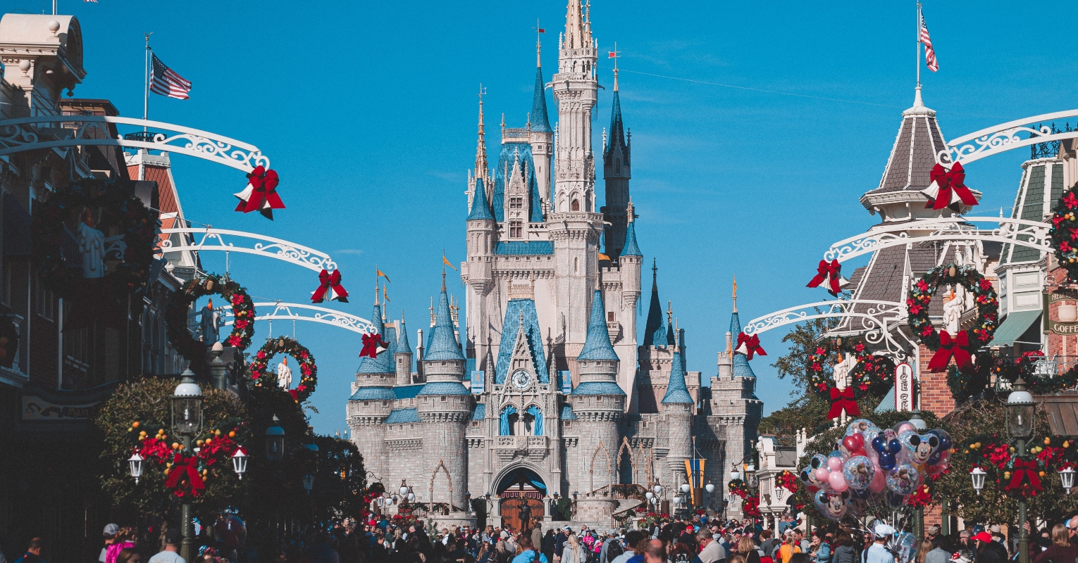 California man builds giant Disney-inspired rollercoaster in his own backyard