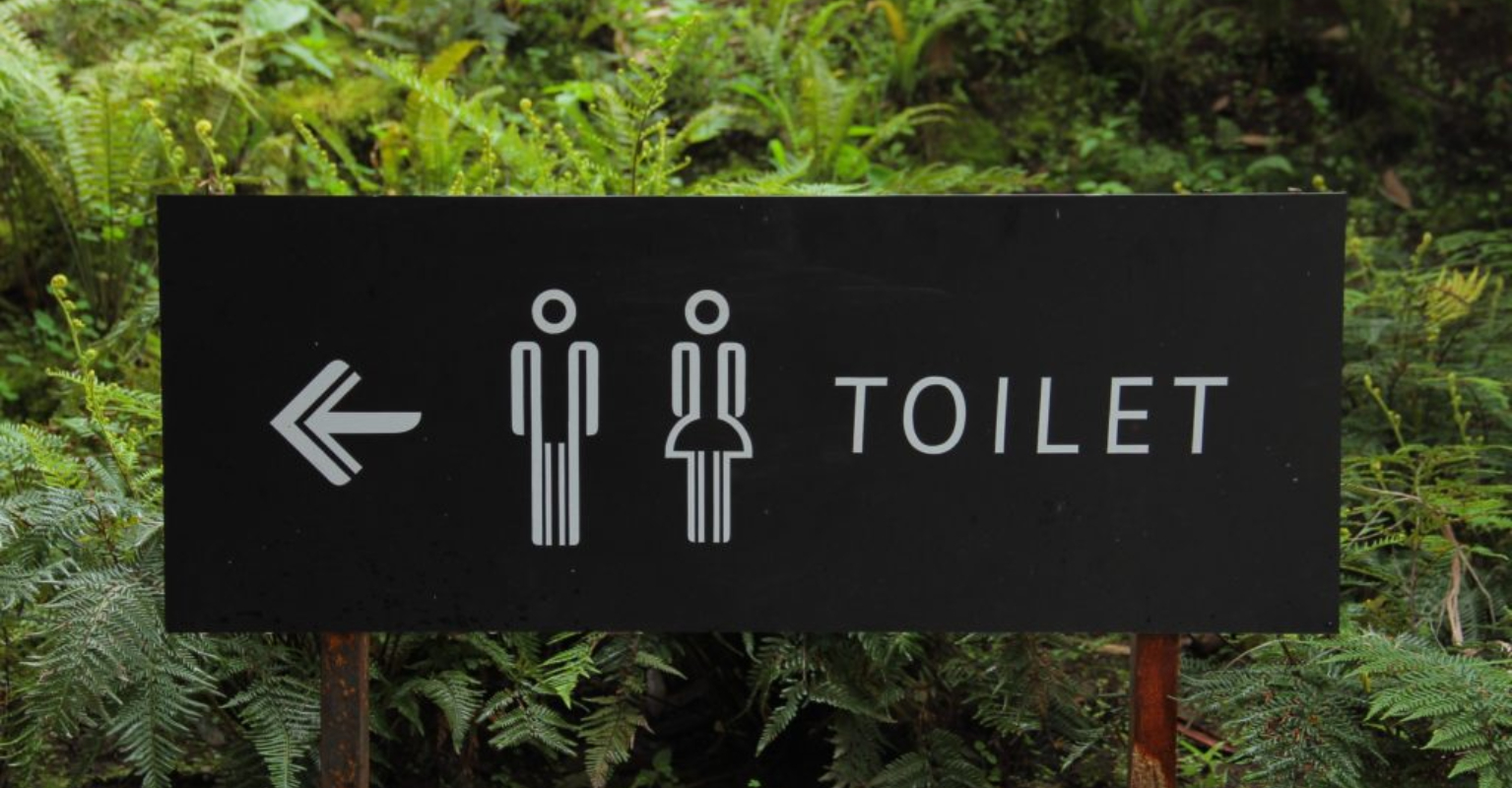 6 bad habits everybody does on the toilet (but would never admit to)