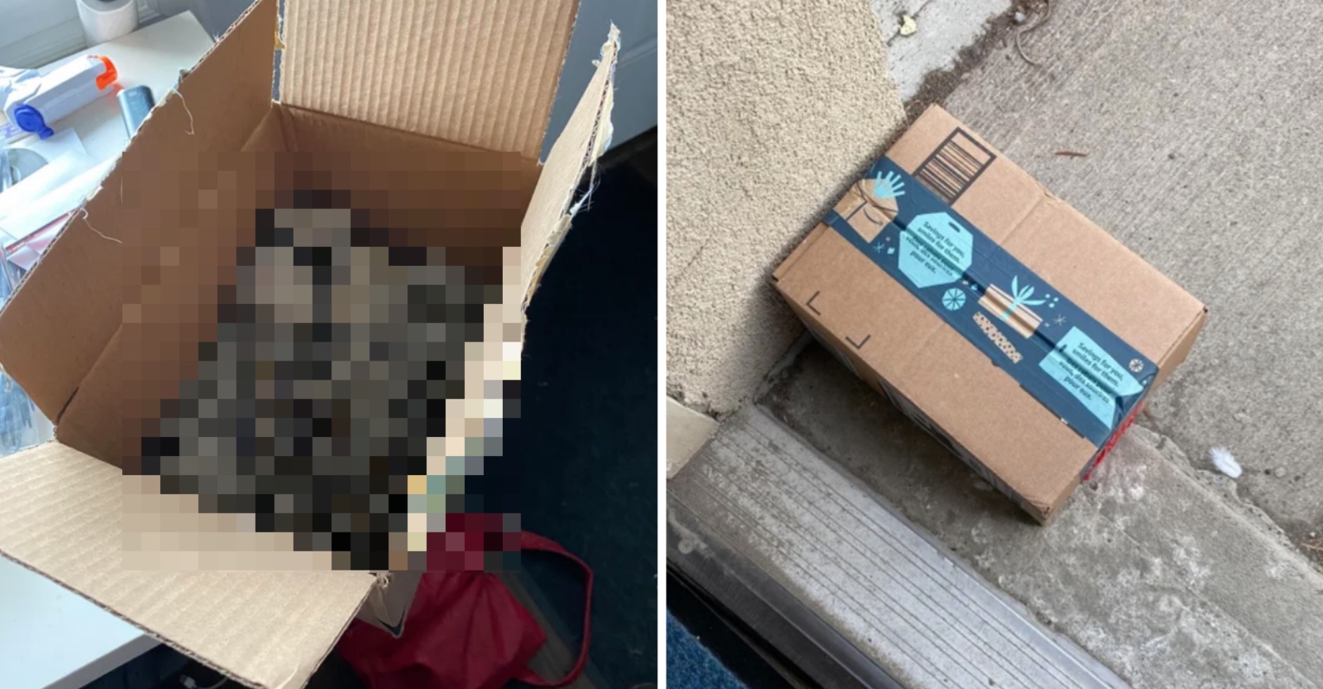 Woman Leaves Package Of Poop On Porch To See If It Gets Stolen... And