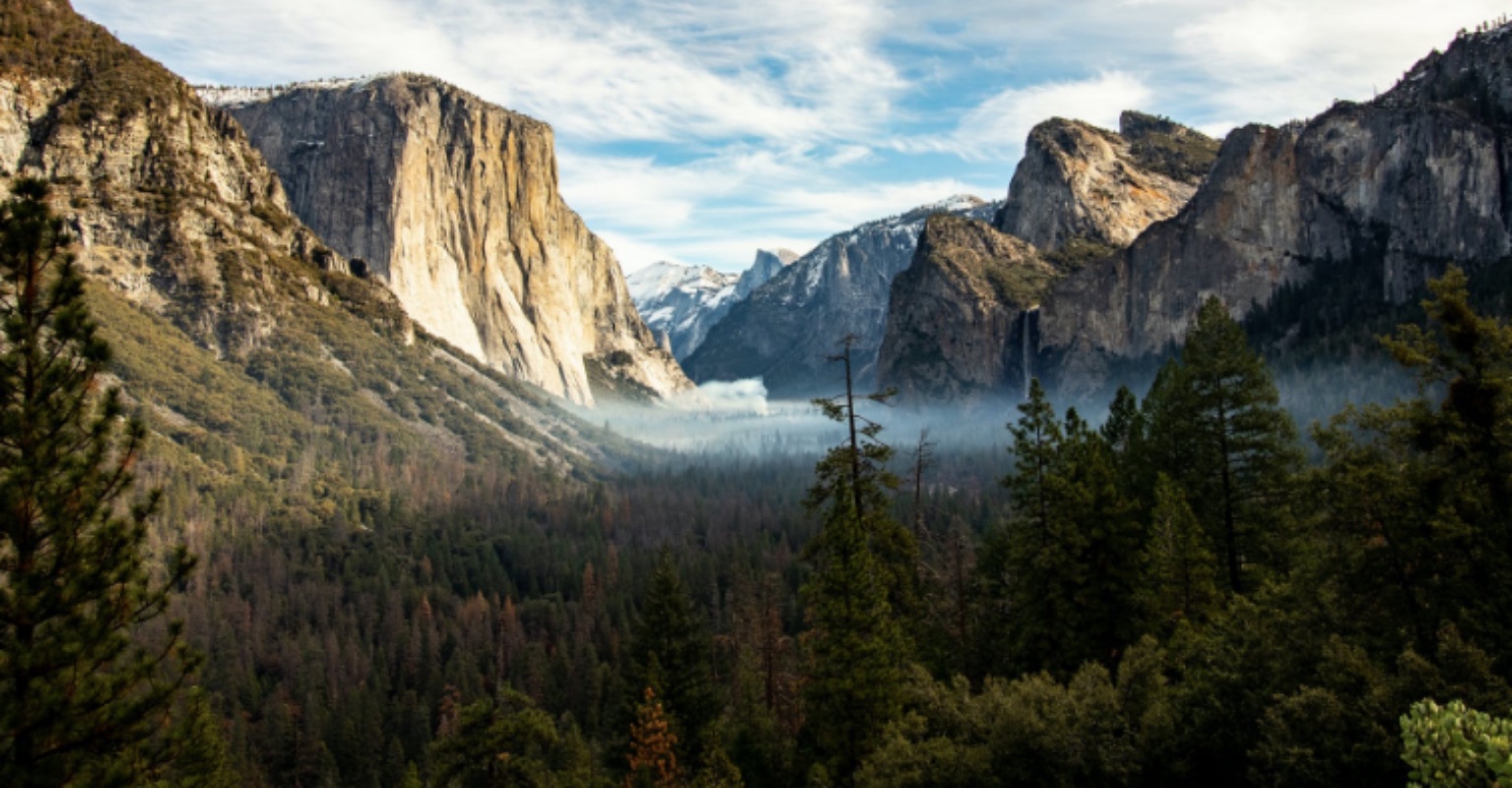 Park ranger uses Taser on Native American man walking off-trail, National Park Service investigating