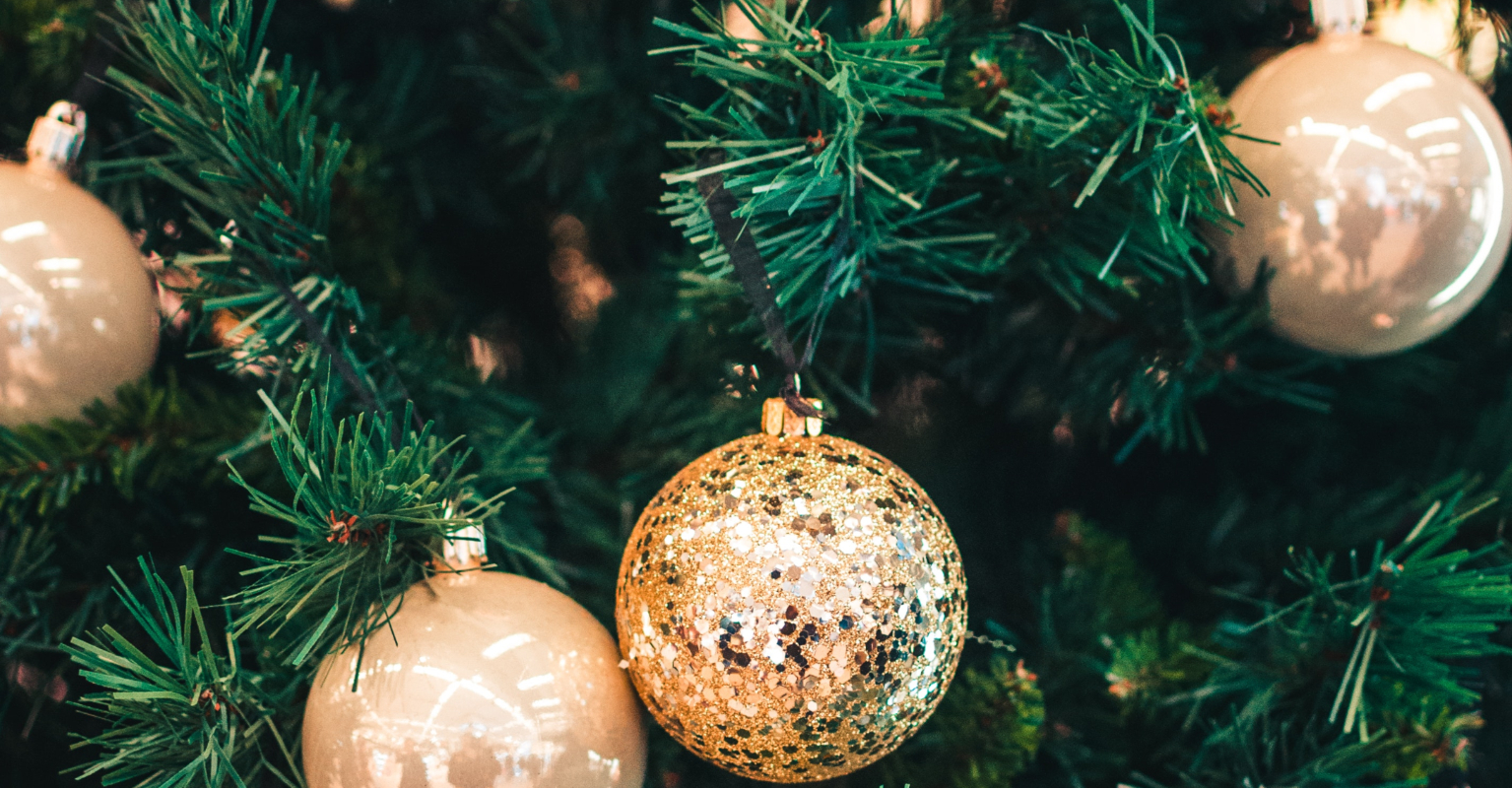 Woman gets dog to chase stranger's cat out of her Christmas tree, except it wasn't a cat and chaos ensued