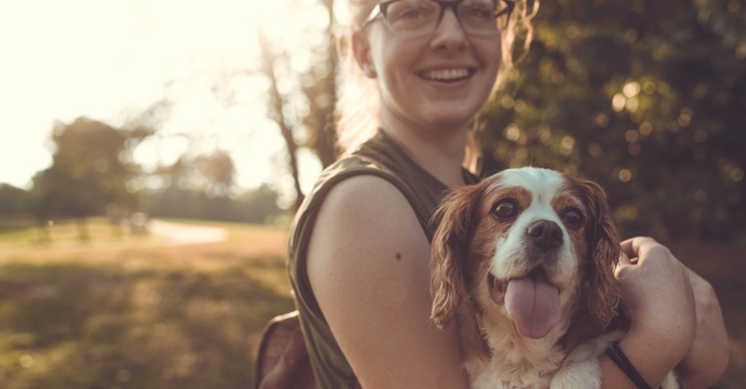 Be The Owner Your Dog Deserves Thanks To This Bundle