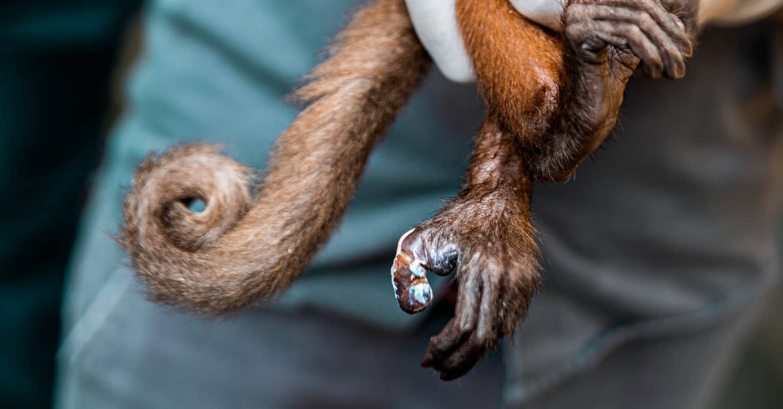 'Monkey Tail' beard has become the go-to facial hair trend for 2021