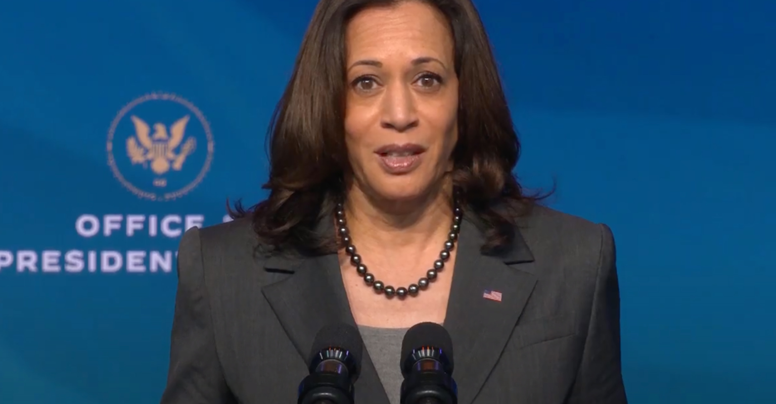 People slam Kamala Harris' 'disrespectful' and 'horrendous' Vogue front cover