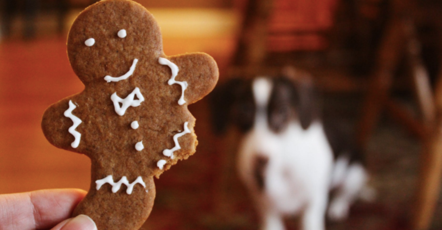Man creates huge gingerbread Hogwarts Castle and it's incredible