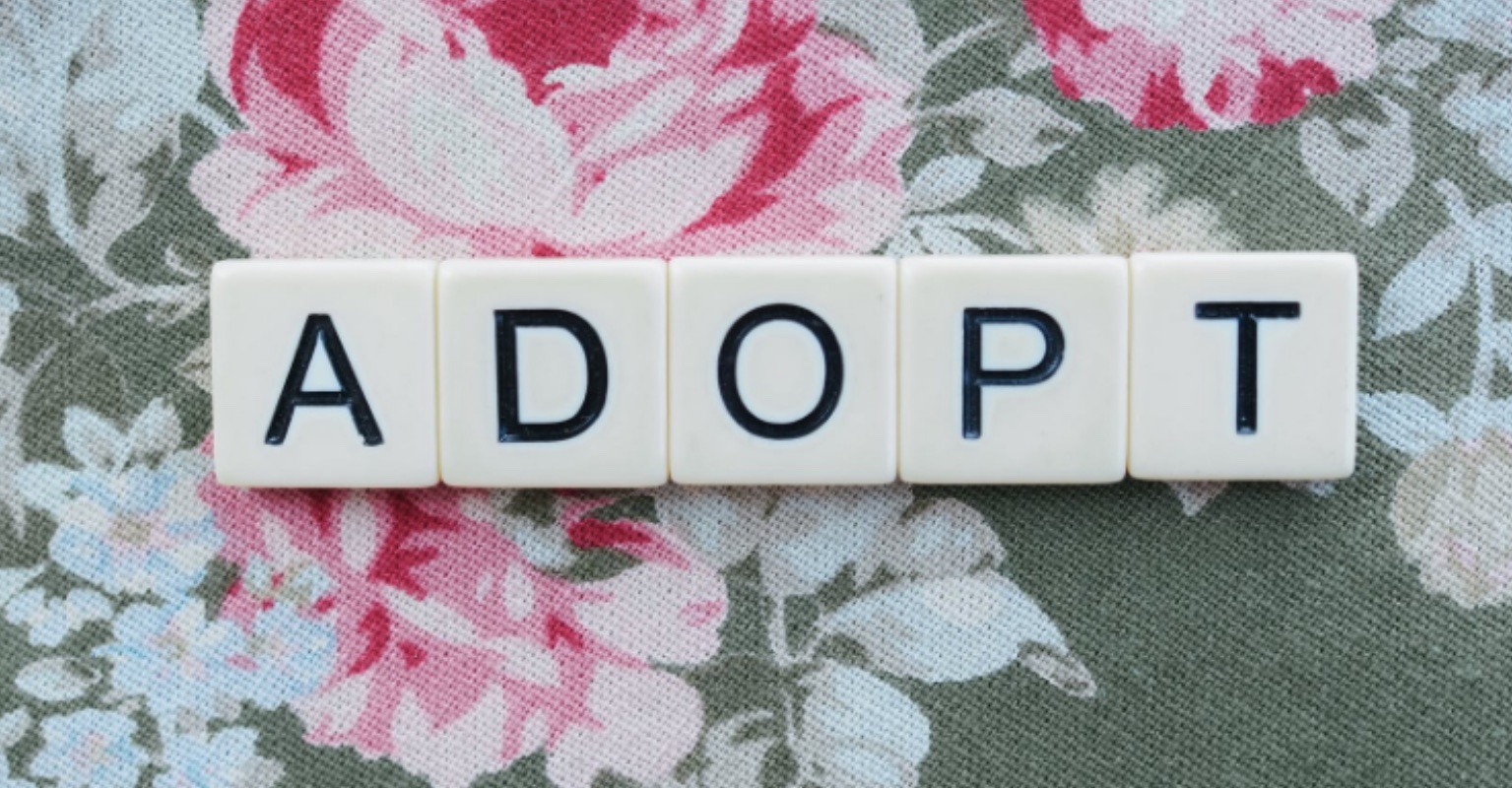 Man wins custody of his own daughter after she was adopted without his permission