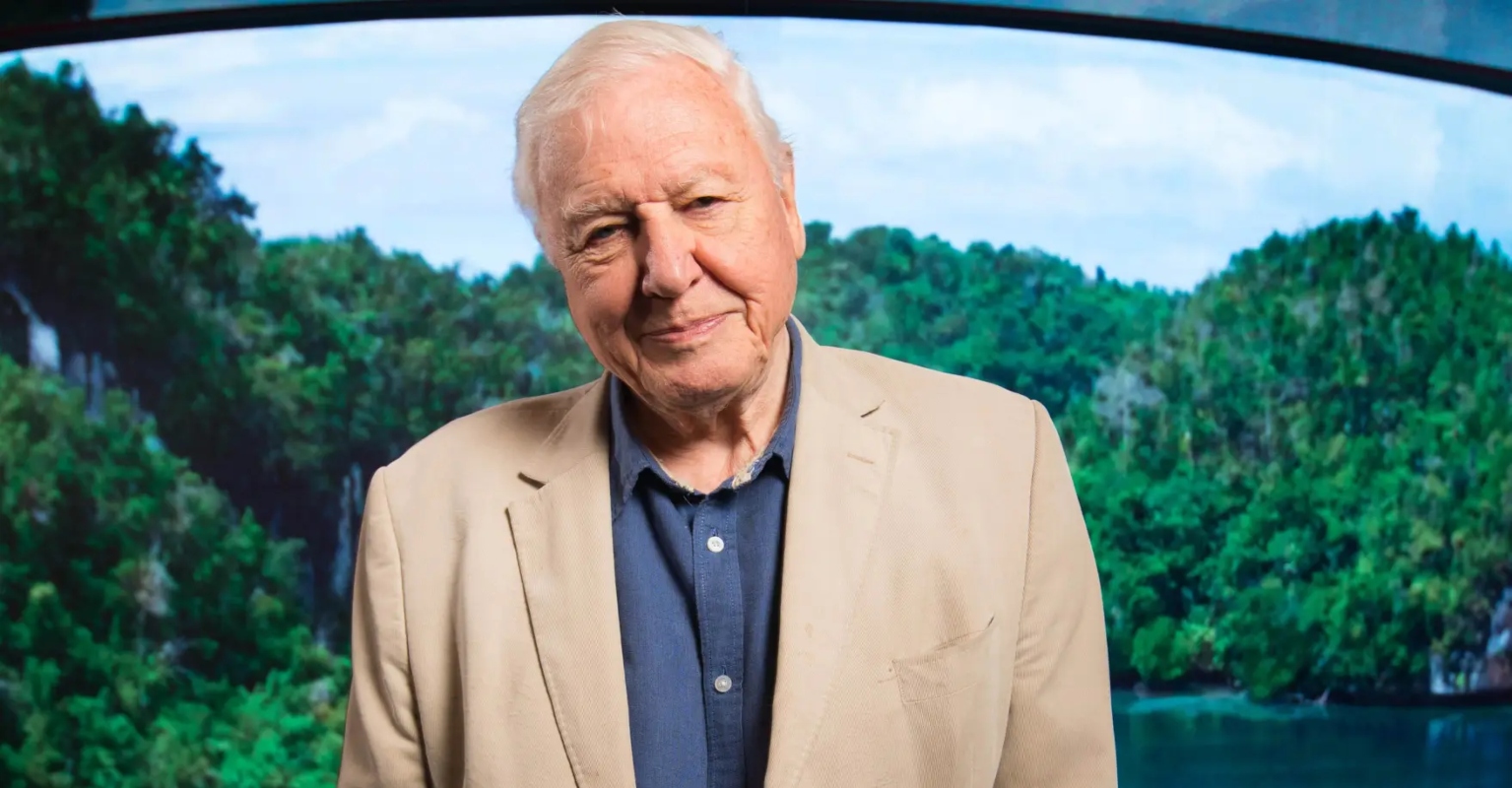 Sir David Attenborough writes letter to 4-year-old who asked if humans will become extinct
