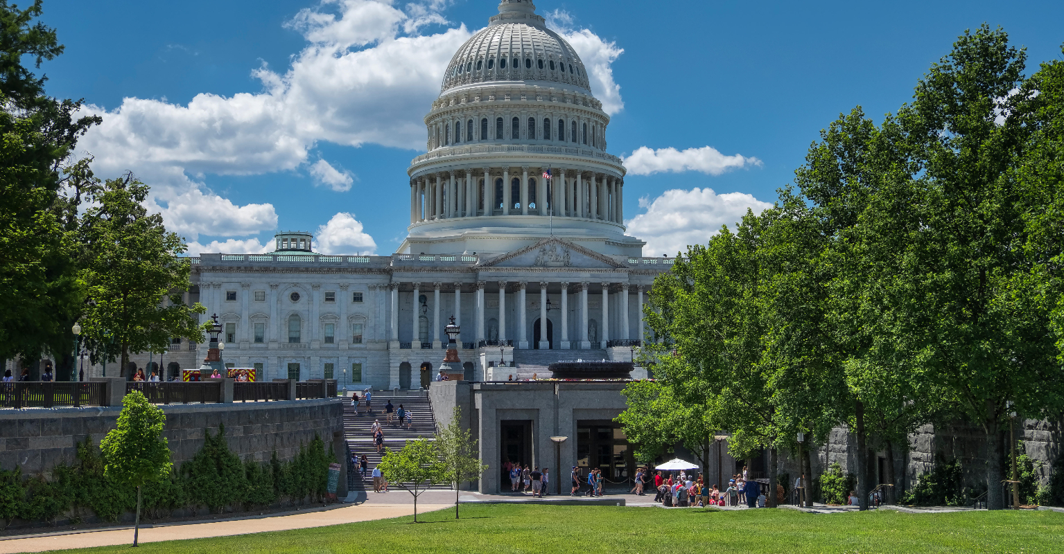 US Capitol police officer is killed after being hit with car