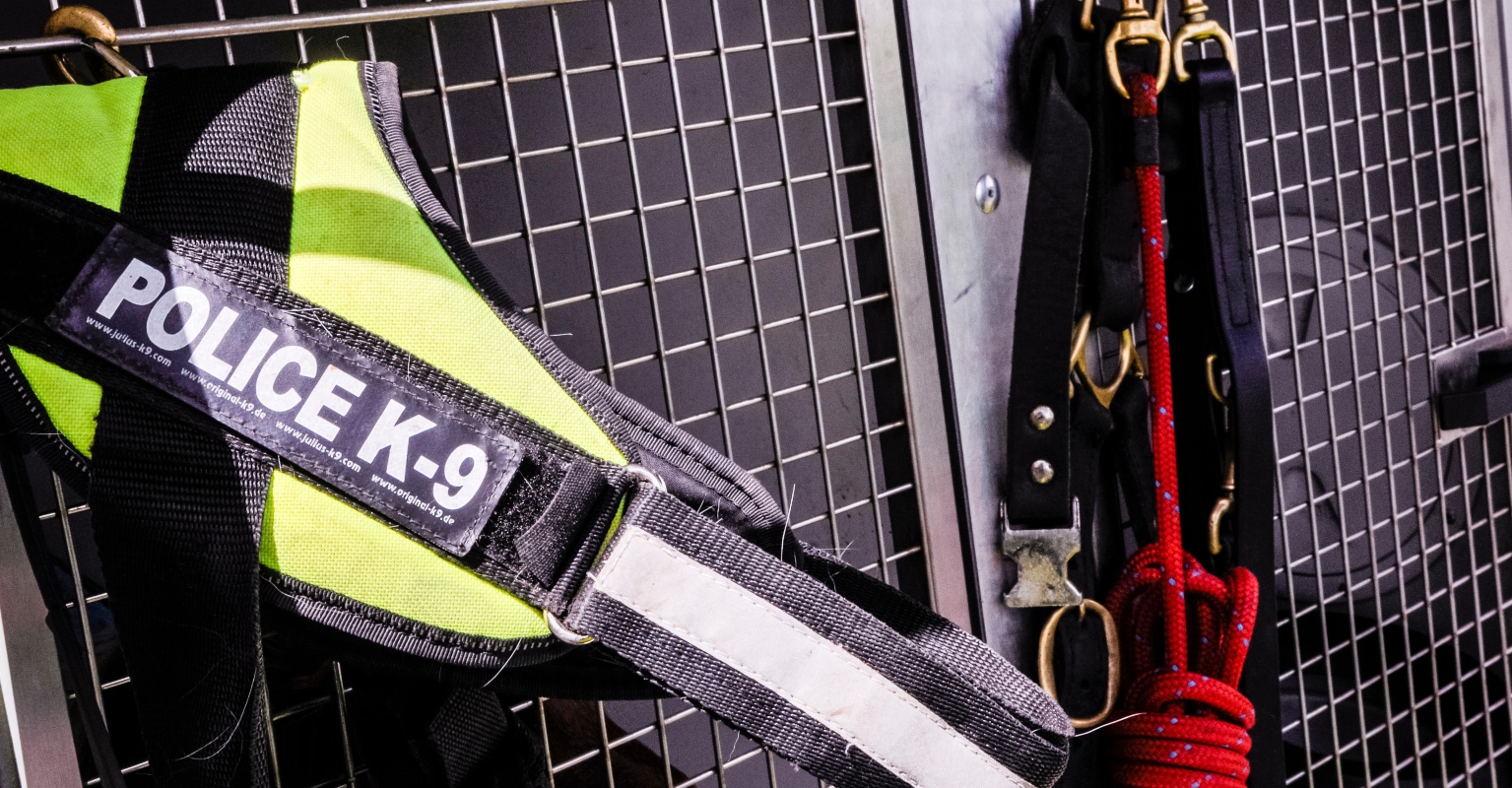 Sheriff and beloved K9 who died on the same day to be buried together