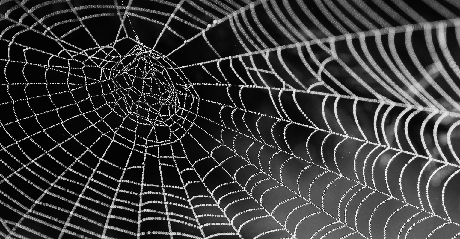 Woman battles with giant spider in her own home: 'The joys of living in Australia'