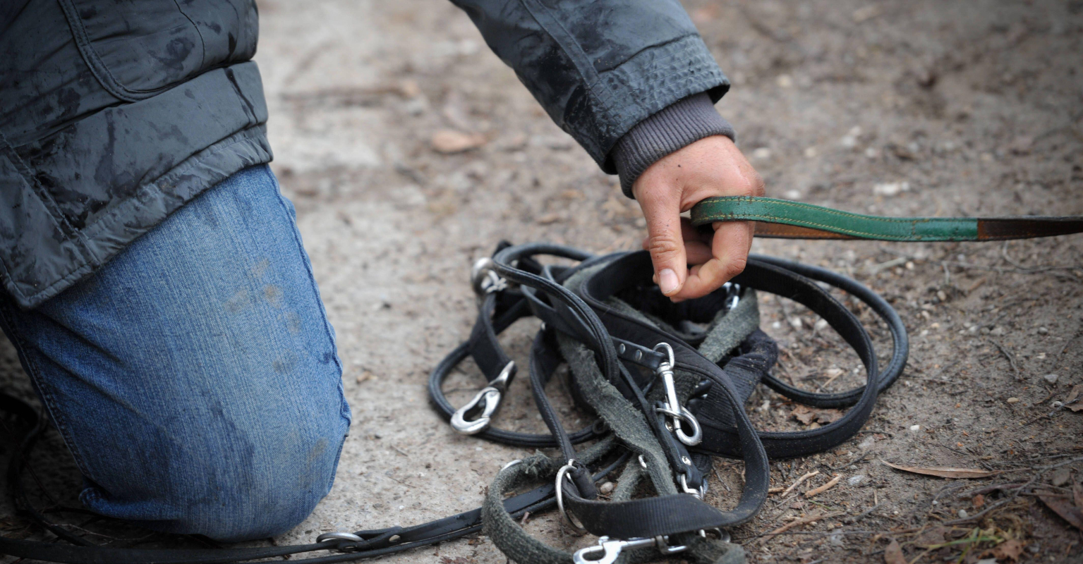 Incredible moment news team rescues stolen dog after suspect stops for an interview