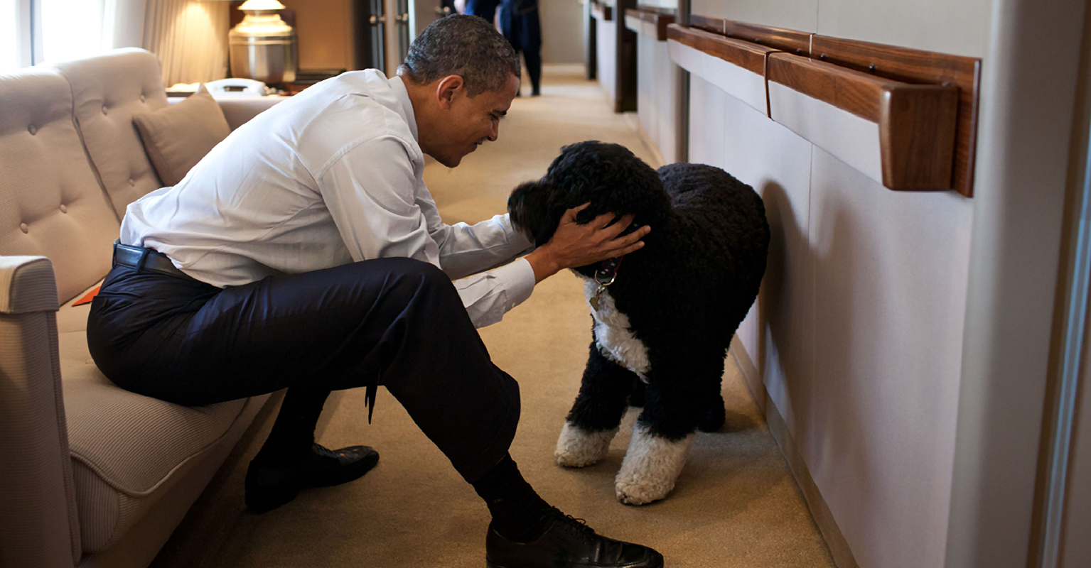 Barack Obama reveals former 'first dog' Bo has died