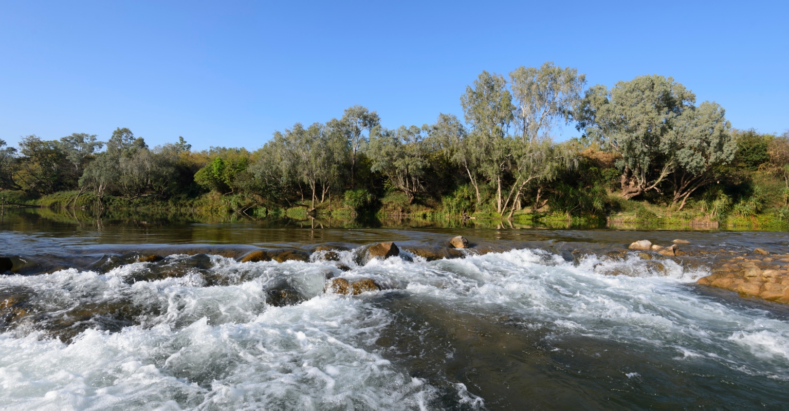 Boy, 7, heroically swims for an hour to save dad and sister stuck in river: 'I felt really scared'