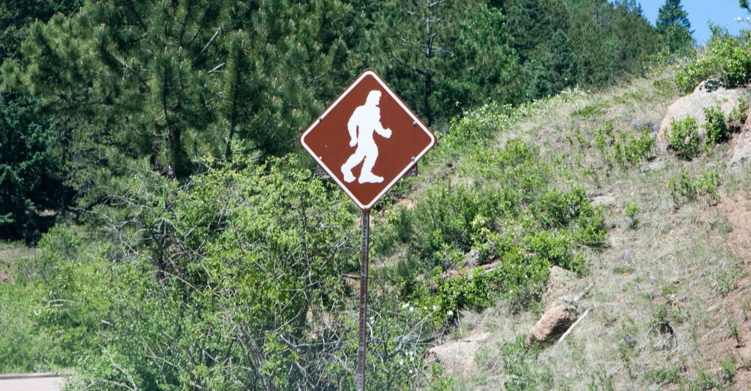 Video allegedly showing Bigfoot carrying baby sasquatch across river in Michigan has left experts baffled