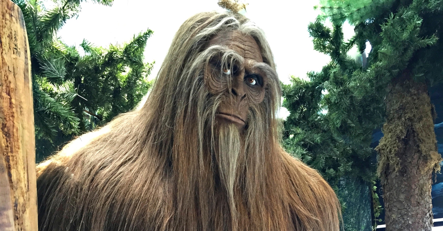 Man claims 'family' of bigfoots attacked his friend and killed his dog