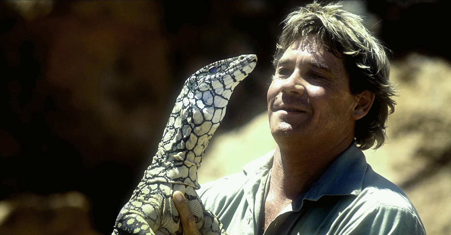 Bindi Irwin calls late father Steve her daughter Grace's 'guardian angel' 15 years after his death