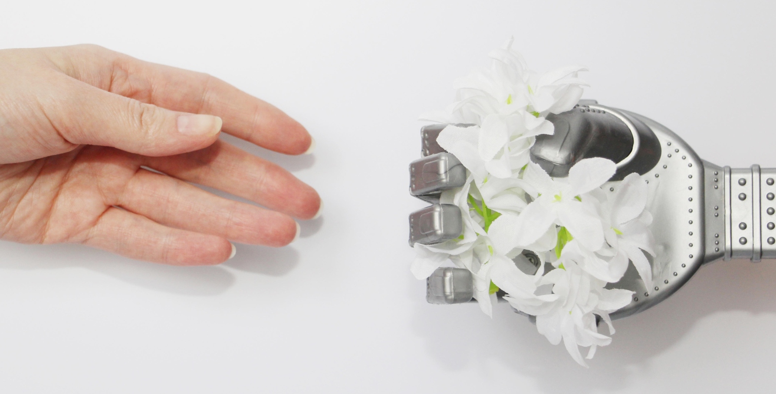 Tech company will pay you $200,000 if you let them use your face on a friendly robot