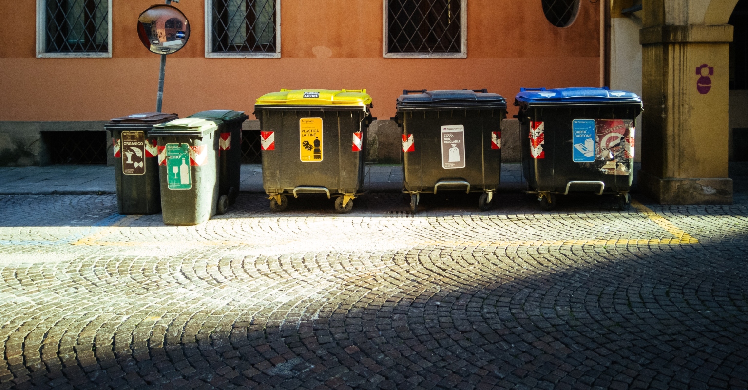 Woman stuns social media after sharing impressive haul after dumpster diving at supermarket