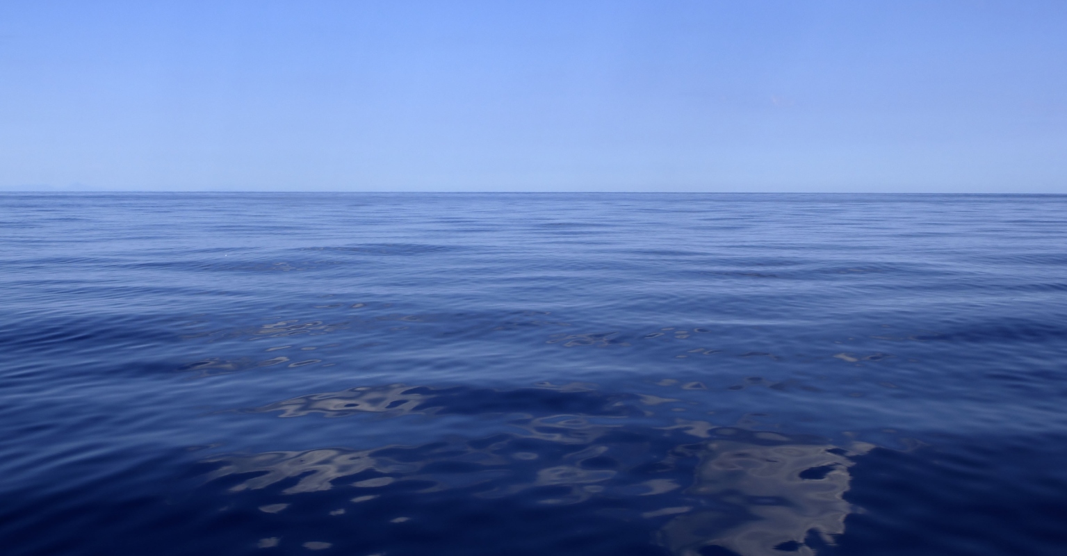 Scientists capture incredibly rare footage of giant phantom jellyfish that can grow 33-feet in length