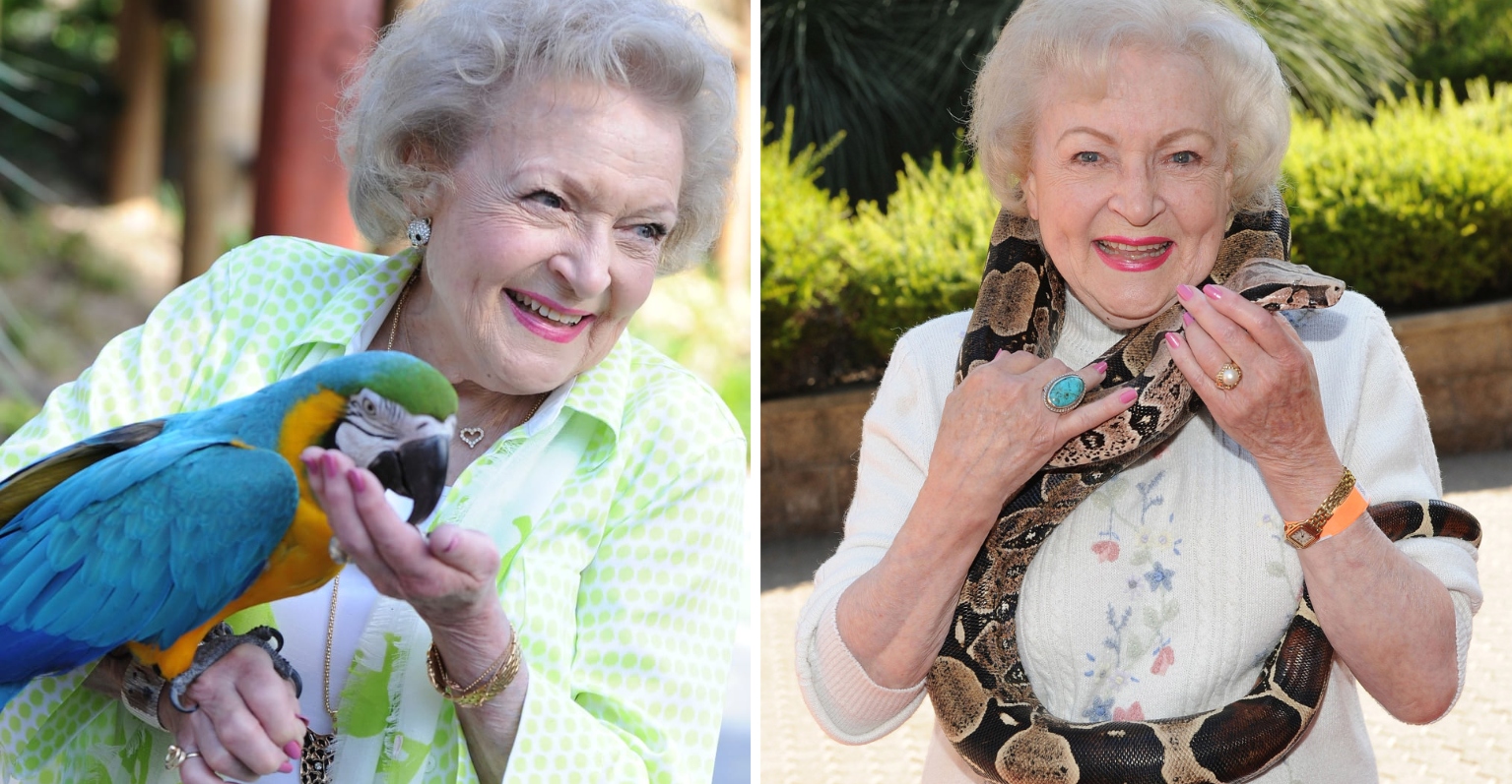 LA Zoo receives 90,000 in donations thanks to 'Betty White Challenge' VT