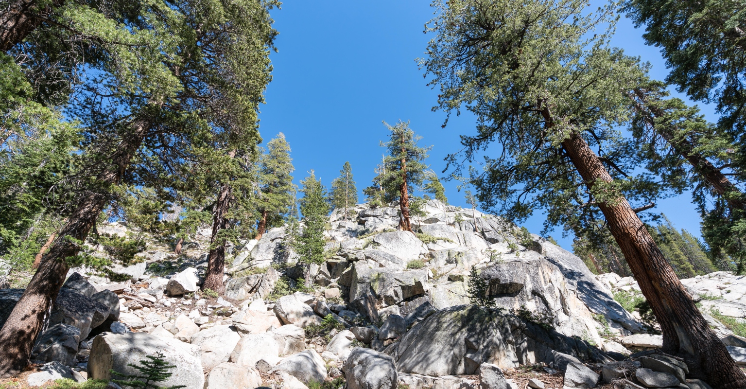 Final message reveals hiking family’s desperate plea for help before they died with their dog