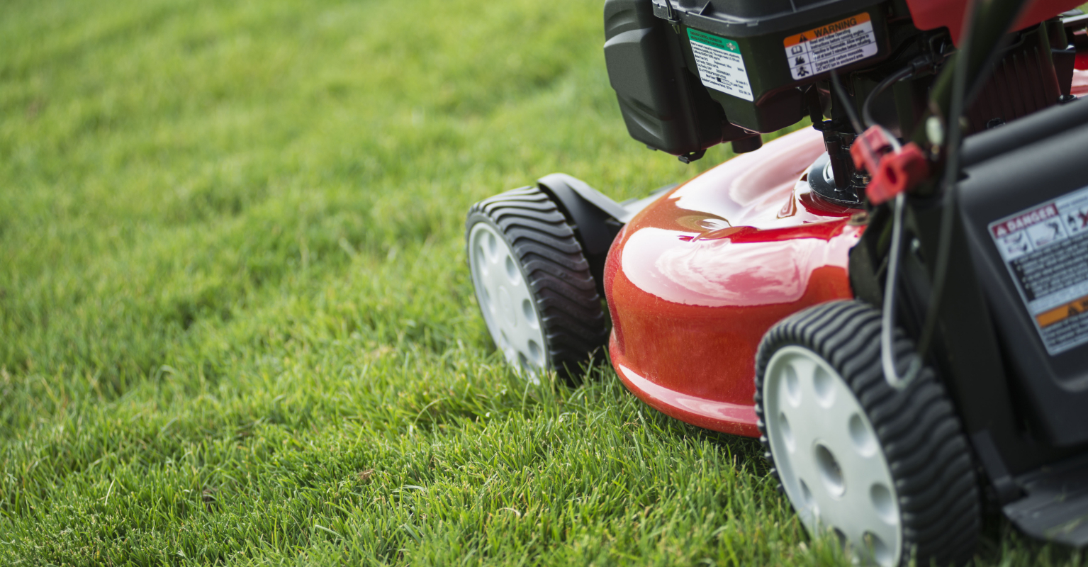 'Miserable' neighbor ruins wedding by mowing lawn as bride walks down the aisle