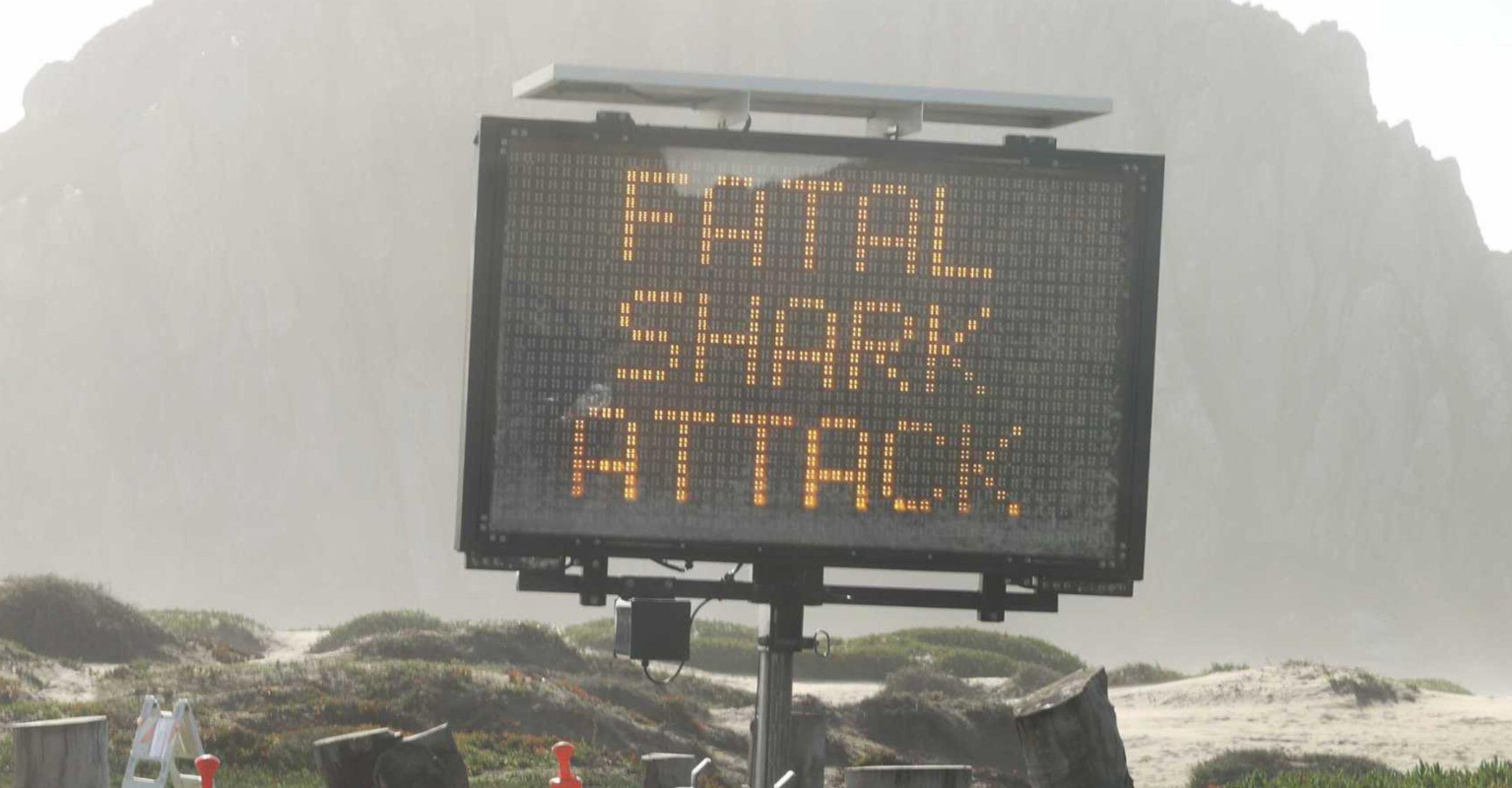 Second woman killed by shark just 650ft from previous tragedy