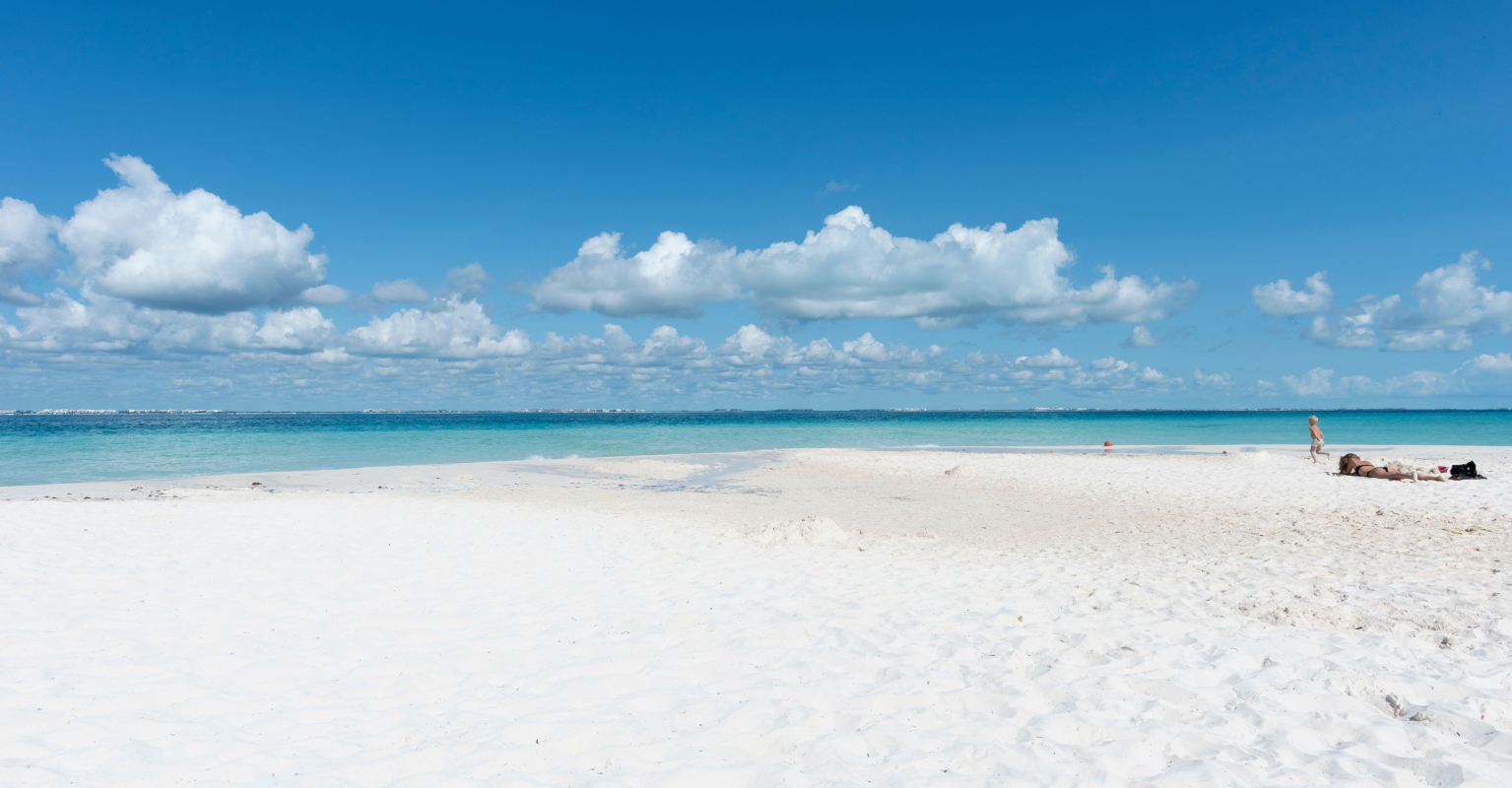 CEO of $68 billion firm quits job to 'sit on the beach and do nothing'