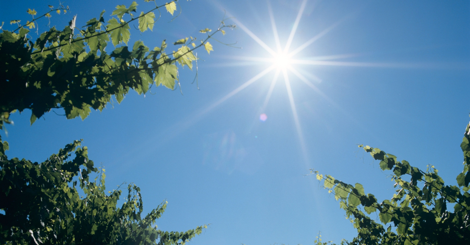 Woman shares photos of excruciating sunburn after just one hour in the sun