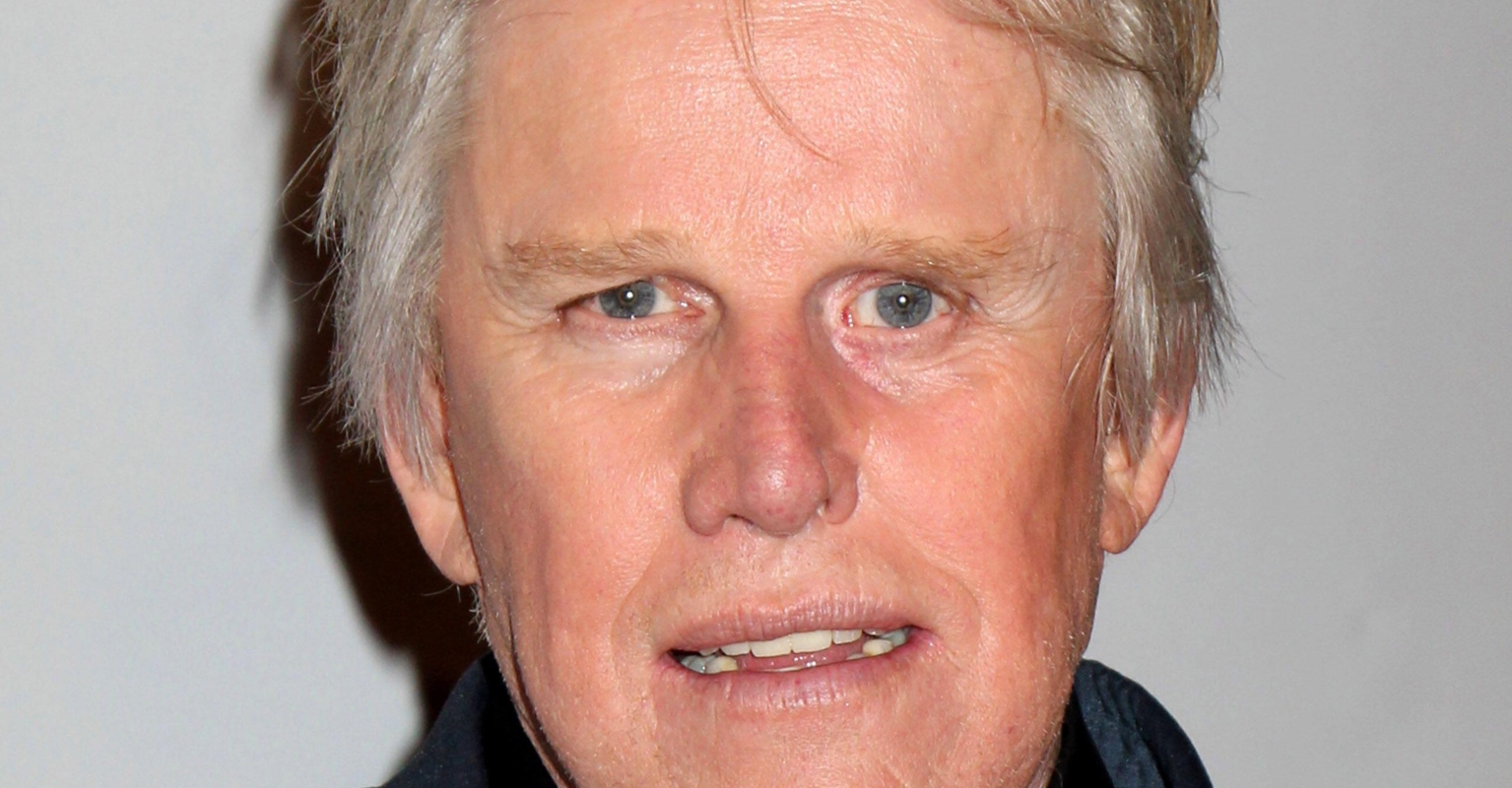 Gary Busey charged with sexual offenses during horror movie convention
