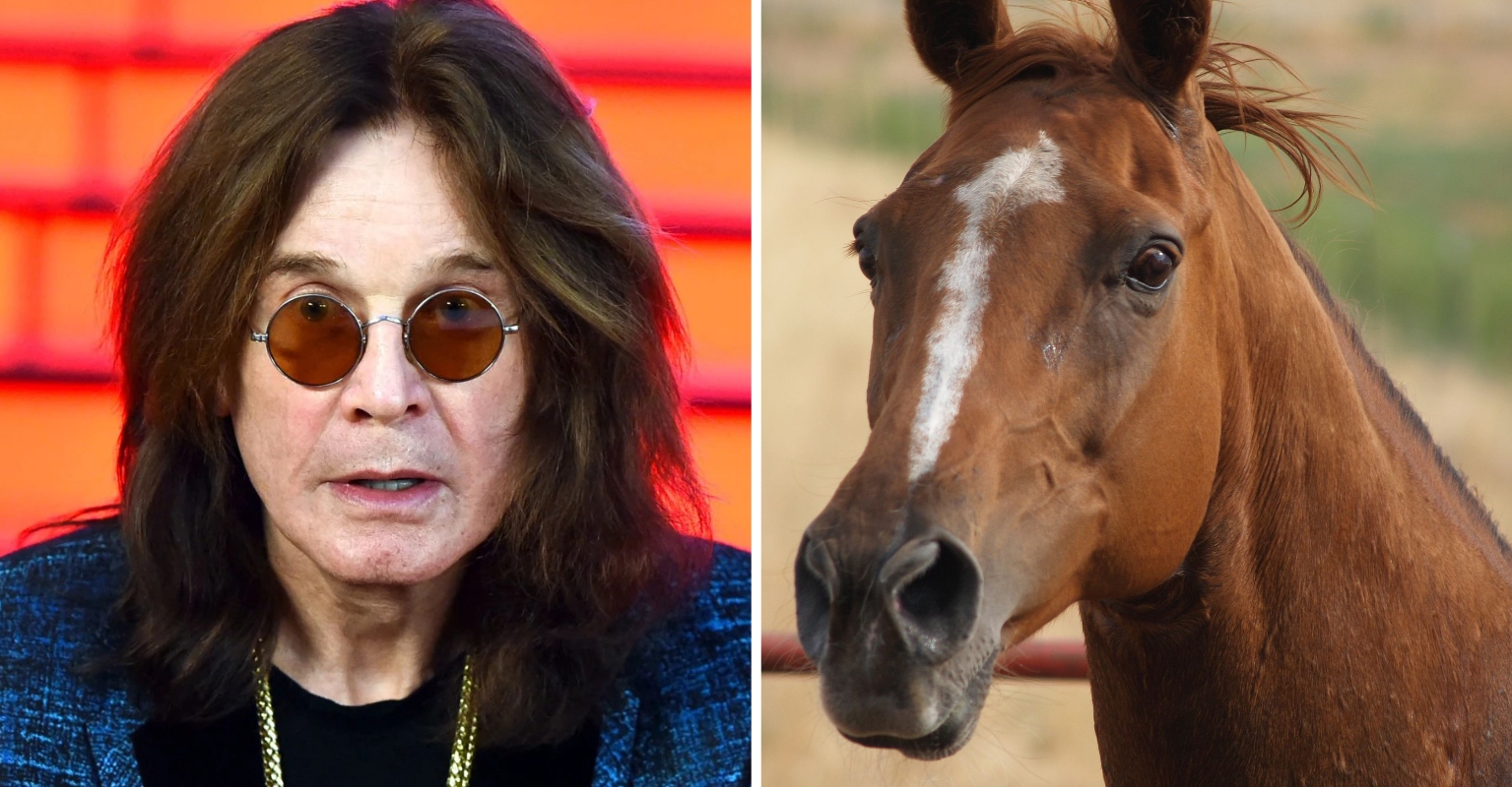 ozzy osbourne and horse