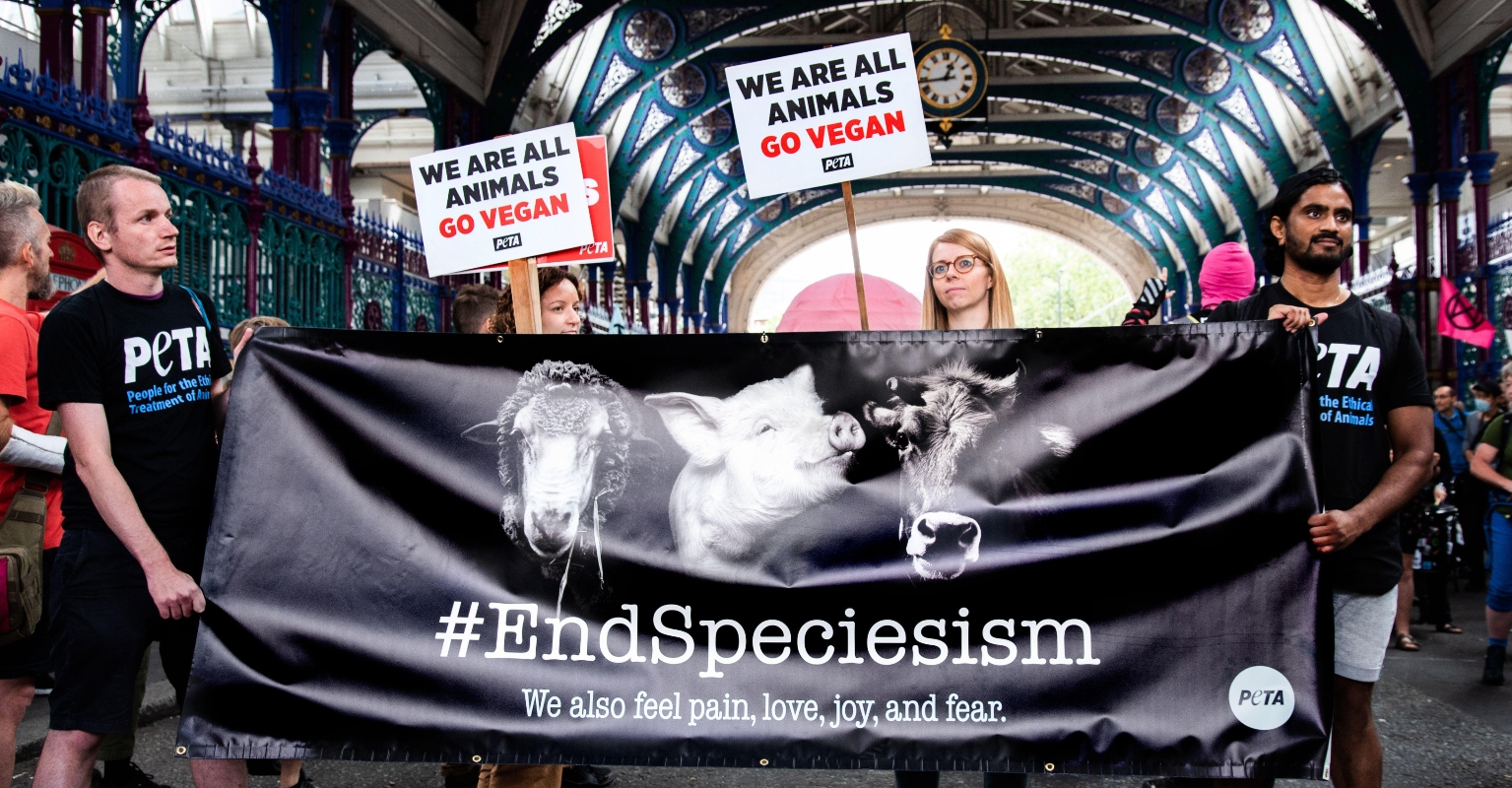 PETA calls for a sex ban against men to help 'save the world'