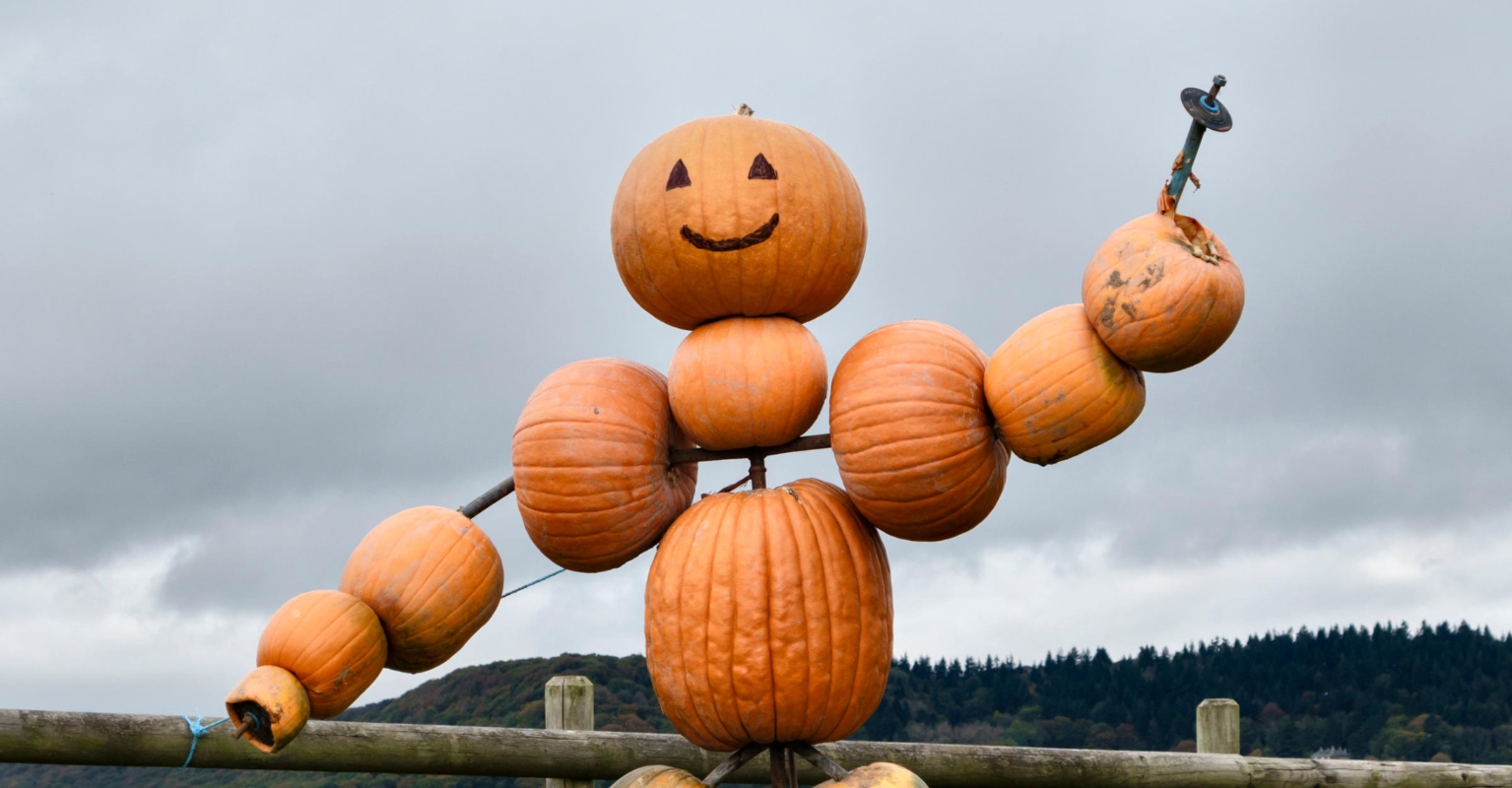 City officials remove 'Karen' Halloween display after residents complain