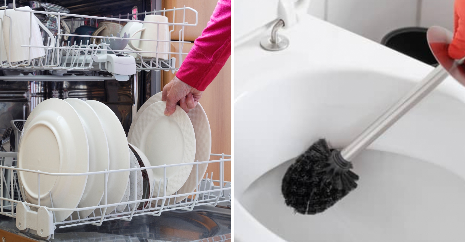 Woman Divides Opinion After Revealing She Cleans Toilet Brush In The