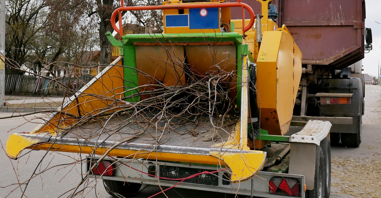 Tree trimmer dies after falling into wood chipper