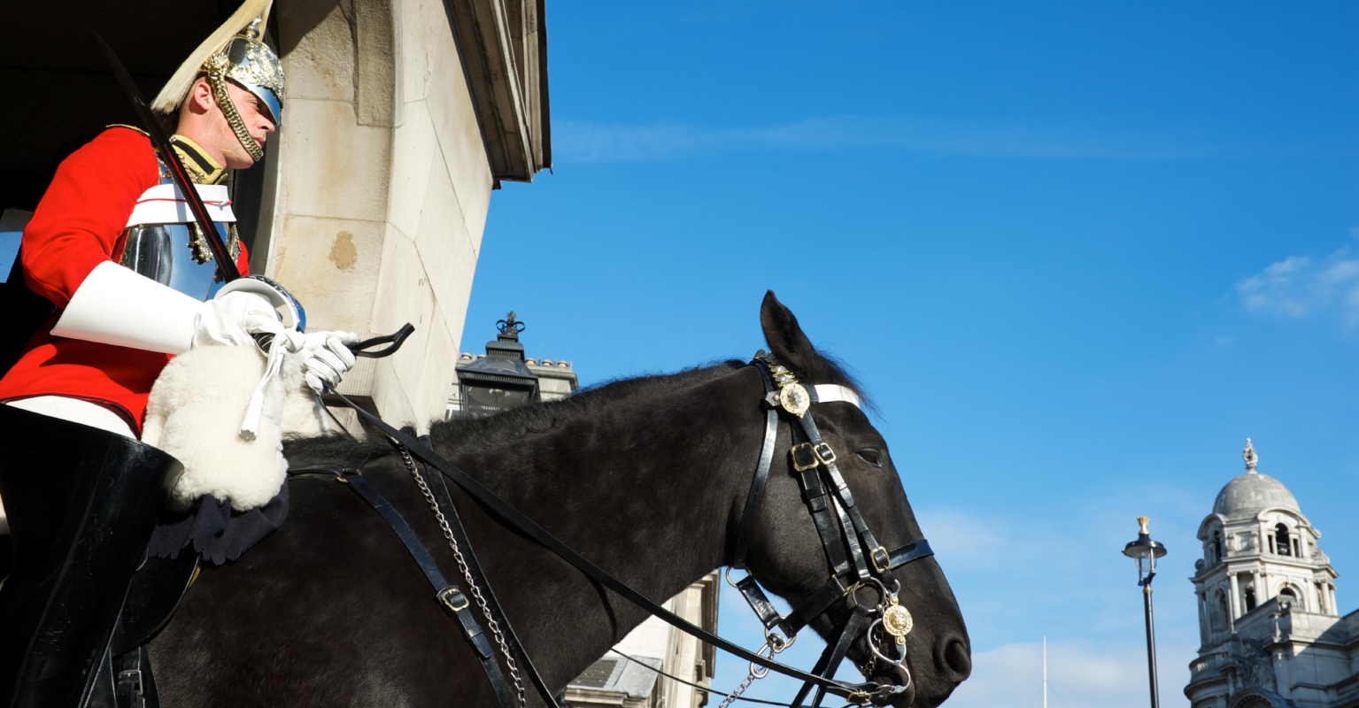 King's Guard yells at tourist after she slaps horse