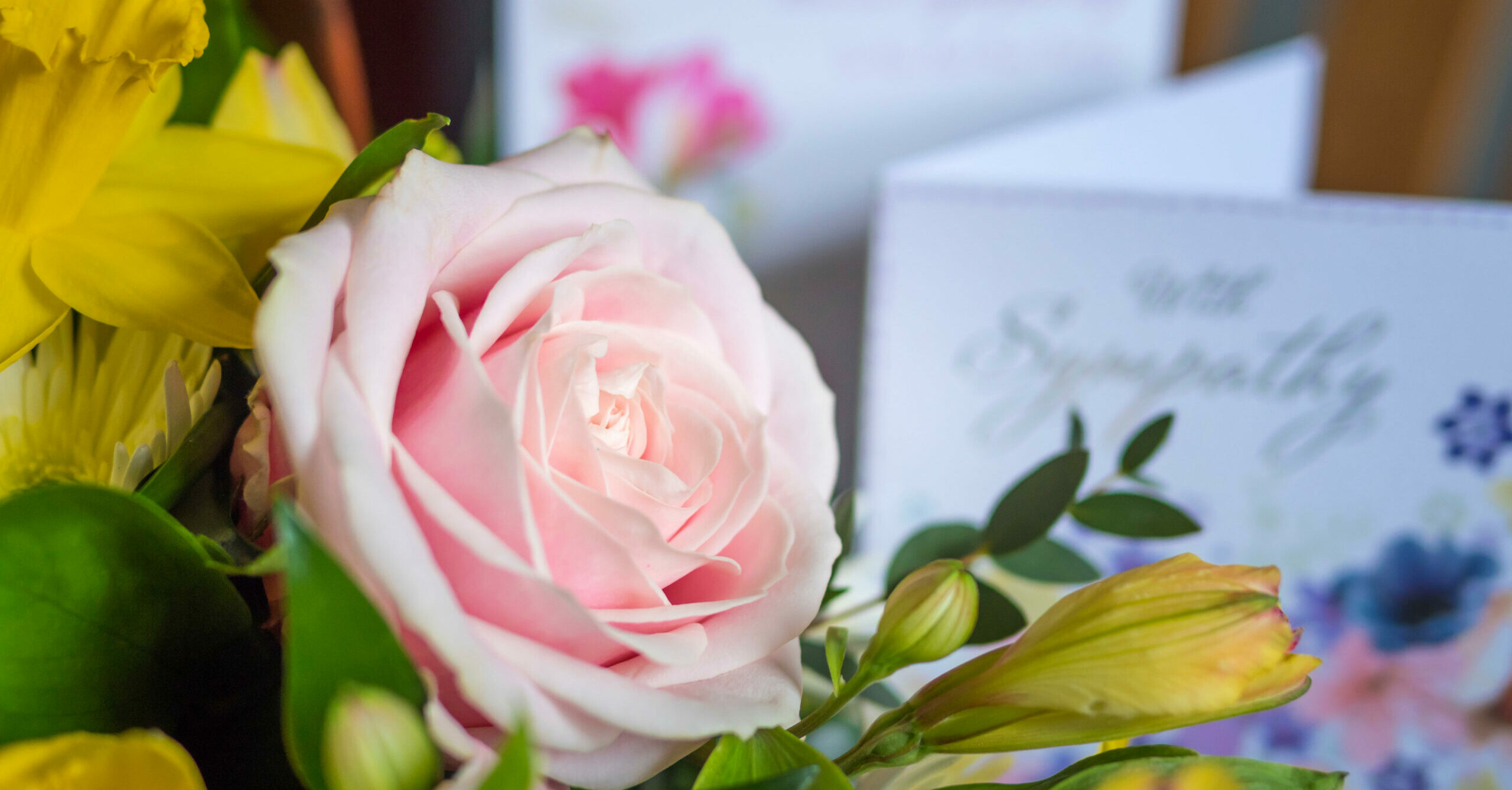 'Teen Mom 2' star Taylor Lewis dies aged 29 in 'suspected homicide'