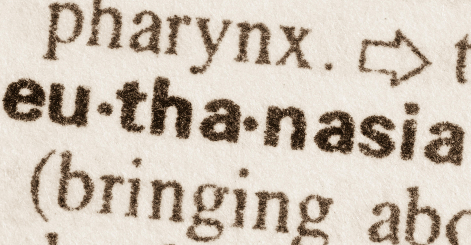 Influencer with '40 different personalities' fights for right to be euthanized