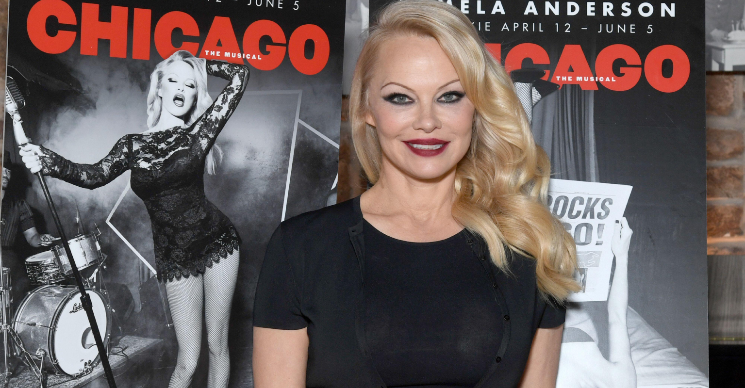 Pamela Anderson says alleged Tim Allen incident 'was one of many uncomfortable situations'