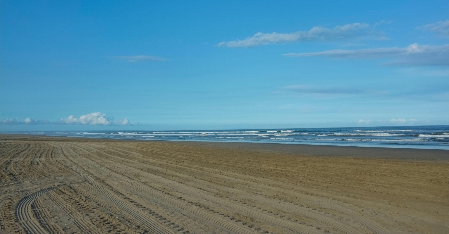 Japanese officials investigating mysterious sphere that washed up on beach