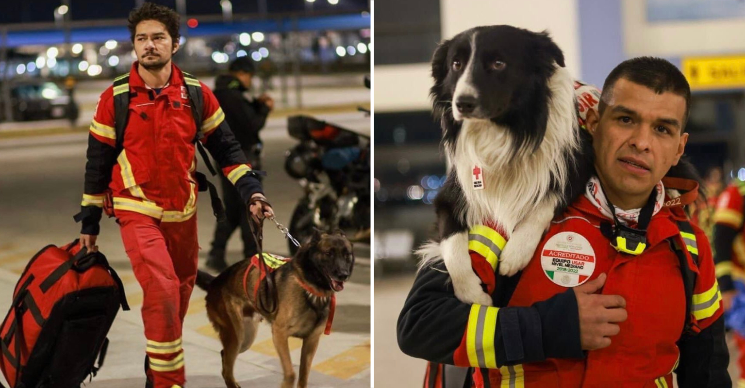 Mexico Sends Its Search And Rescue Dogs To Turkey Following Devastating