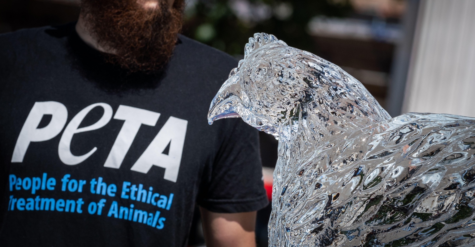 PETA urges 'Good Burger' sequel to feature vegan burgers instead of meat