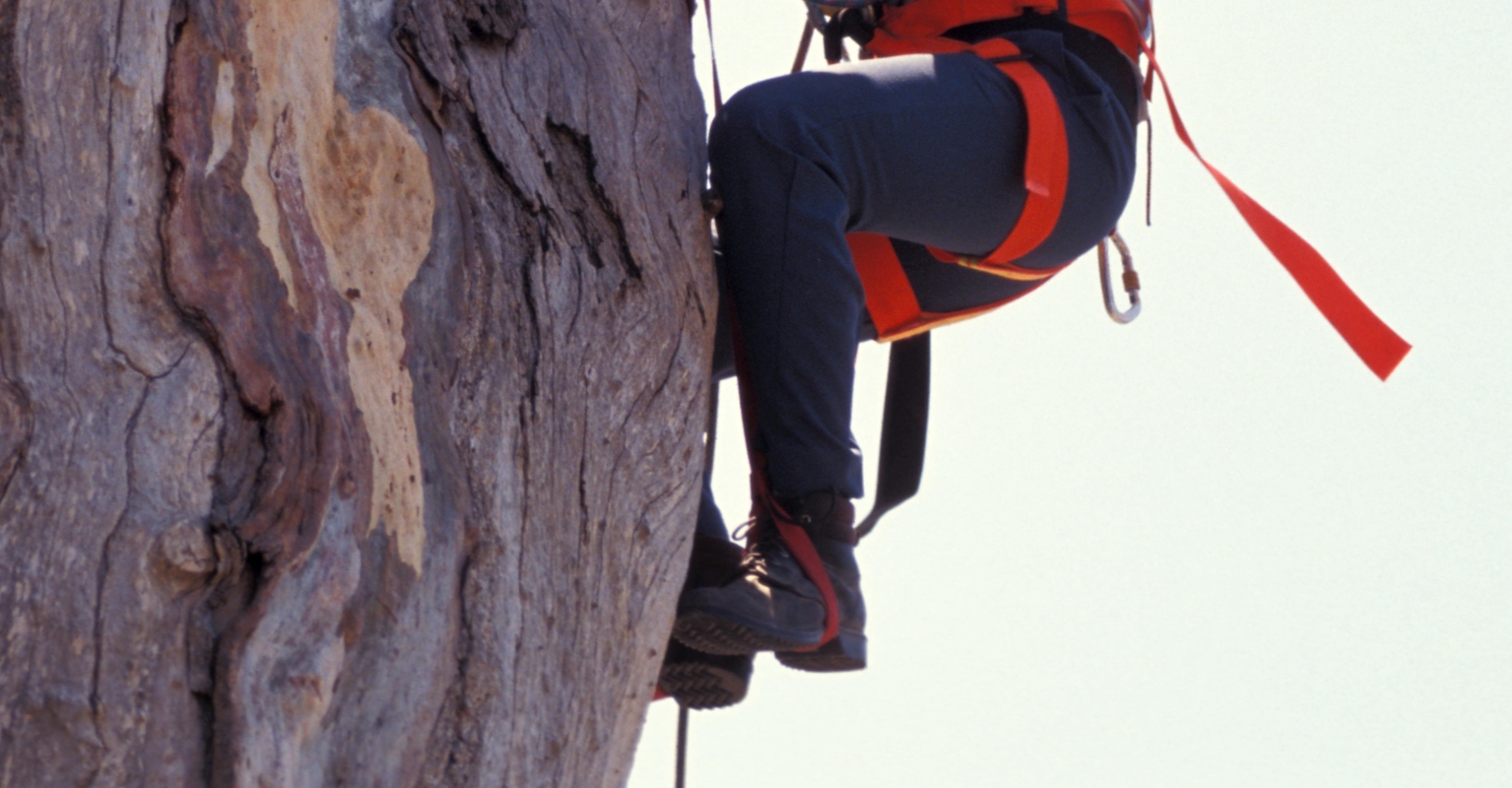 Instructor plunges to his death while abseiling in front of students