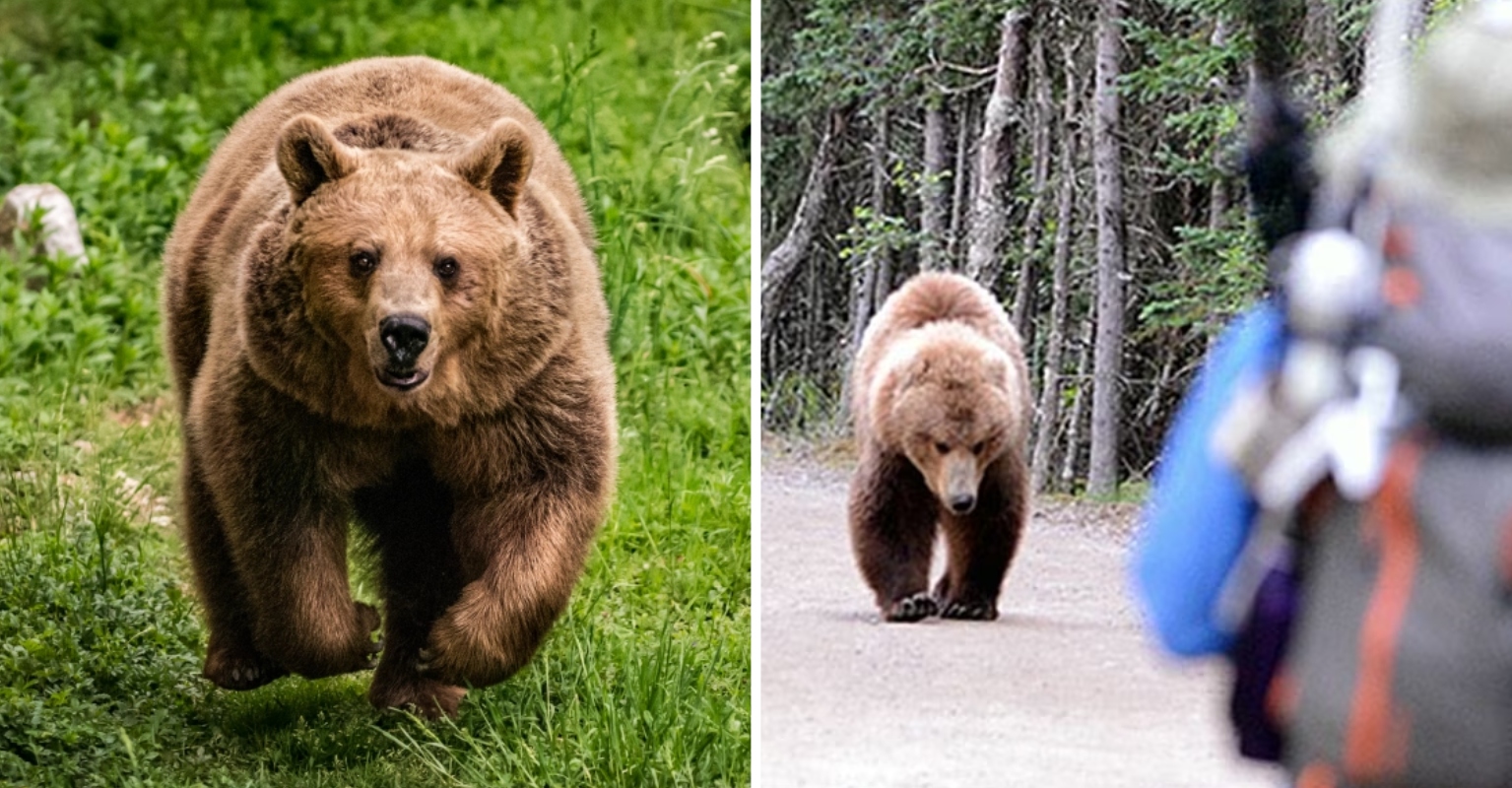 The National Park Service Urges People Not to Sacrifice Their Slow
